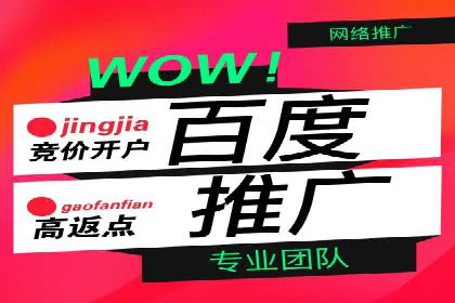 百度推广服务费案例：揭秘大品牌推广成功秘诀